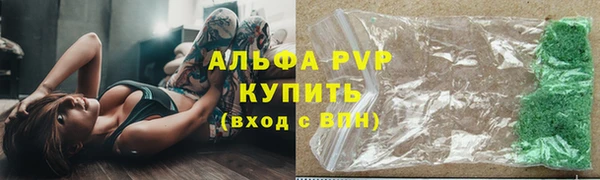 ешки Белокуриха