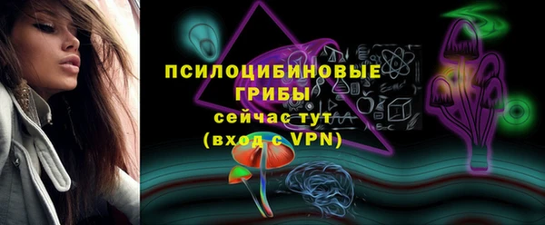 ешки Белокуриха