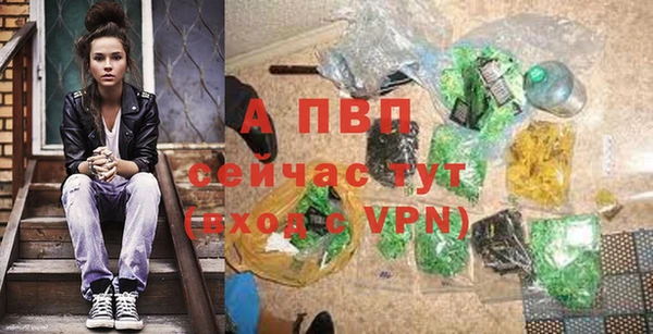 ешки Белокуриха