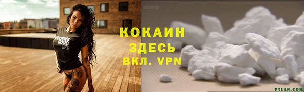 прущие грибы Ладушкин