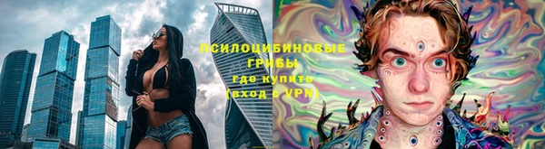 ешки Белокуриха